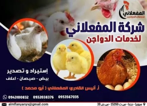 شركة المفعلاني لخدمات الدواجن ( سوريا )